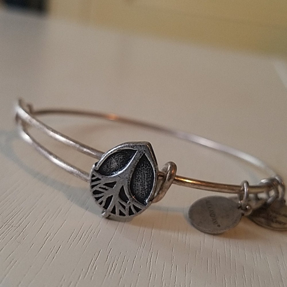 Alex and Ani tree of life design